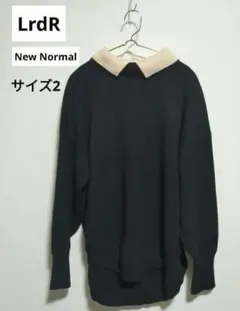 LrdR エルアールディーアール ニューノーマル 襟付きニット バイカラー