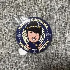 ソフトバンクホークス 若鷹ガチャ