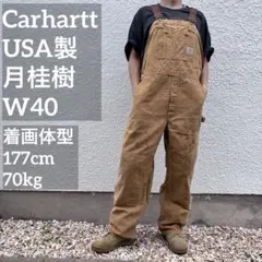 USA製 カーハート ダブルニー オーバーオール R01 月桂樹ボタン W40