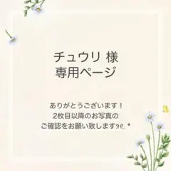チュウリ様 おまとめ2点