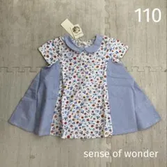 Item thumbnail for item c34b0c1d-e9f2-483f-a726-7703615ad30f