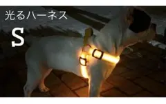 新品✨S オレンジ　充電式 光る ハーネス 犬 胴輪 LED USB子犬 小型犬
