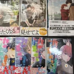 商業BL まとめ売り - メルカリ