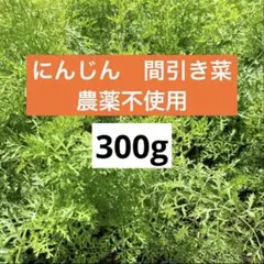 【農薬不使用】人参　間引き菜　葉っぱ　葉　300g にんじん　キャロットのサムネイル