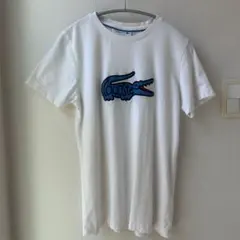 ラコステ　青ワニ　Tシャツ