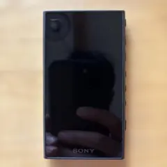SONYウォークマンNW-A105 ジャンク品 2026年最新】 nw-a105 ジャンクの人気アイテム - メルカリ