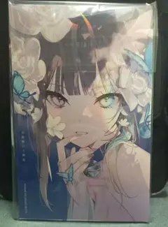 美和野らぐ個展 心憎 図録 イラスト集 作品集 パンフレット 資料集 作画集