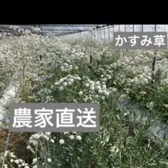 むーん様専用　5月発送