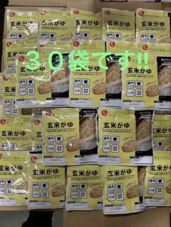３０袋　石井食品 玄米がゆ 220g レトルト 賞味期限２０２７年１月３０日のサムネイル