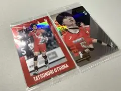 Item thumbnail for item d5c8f9b5-b91f-4c61-babf-ea30239c909f