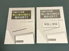 共通テスト対策 新しい第3の現代文 集中完答11