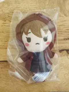 名探偵コナン　セガラッキーくじ　G賞　 ぬいぐるみマスコット　灰原哀