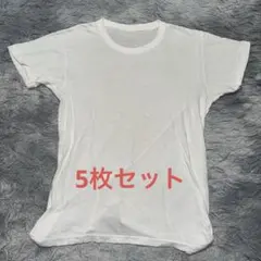 ホワイト メンズTシャツ 5枚セット