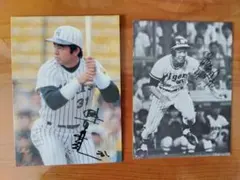 阪神タイガース 江夏豊投手 田淵幸一捕手 2ショットポスター - メルカリ