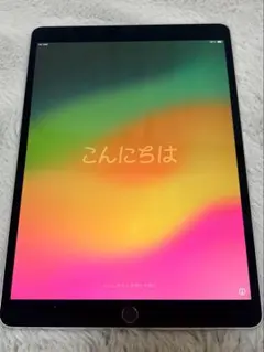 irawan8 さん専用　iPad Pro 10.5インチ 256G Wi-Fi