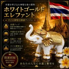 ホワイトゴールドエレファント 象 置物 開運 金運 財運 商売繁盛 タイのサムネイル