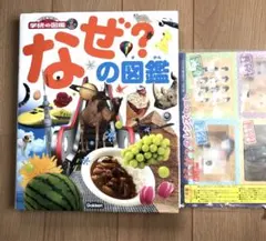 Gakken なぜ？の図鑑