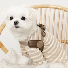 Item thumbnail for item 0908b7e7-efe1-42f2-87d8-cdb1a7caaa3a