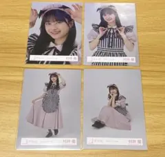 Item thumbnail for item 336eec6d-d1c4-4086-ba2e-e0b00cfdaa92