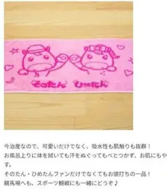 そのたん ひめたん 限定タオル　園田競馬　姫路競馬