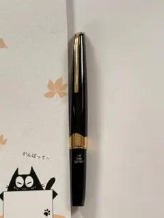 プラチナ Platinum センチュリー UEF 万年筆 ブラック 名入れあり