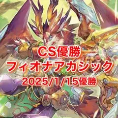 2025年最新】フィオナアカシックの人気アイテム - メルカリ