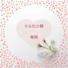 ▪☆らむ☆様専用