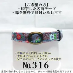 Item thumbnail for item 658375c1-b7f3-49b4-af0d-16222dc71c68