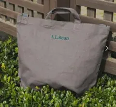 L.L.Bean✖️アーバンリサーチドアーズ別注　2way トート