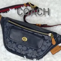 激レア 極美品 coach シグネチャー PVCレザー ボディバッグ パープル 