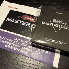 特製コレクトファイル ミニサイズ(「黒魔術の継承」デザイン) - メルカリ