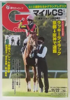 週刊ギャロップ 2020年11月22日号 マイルCS グランアレグリア