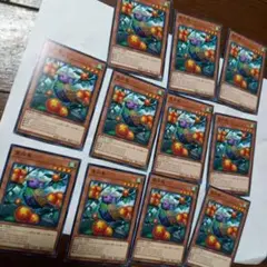 星向鳥11枚セット　遊戯王