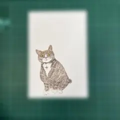 猫 ポストカード 絵はがき 10枚　　　#226-1