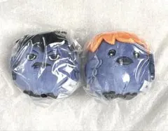 ハイキュー‼︎ アニマル　ぬいぐるみ　マスコット　日向　影山