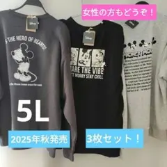 新品タグ付き　ディズニー裏起毛トレーナー3枚セット5L