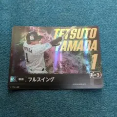 ドリームオーダー 山田哲人 フルスイング