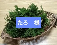 たろ　様専用