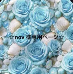 ☆nov様専用ページ☆