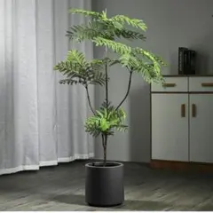 円筒形 植木鉢 プランター ブラック シンプルのサムネイル