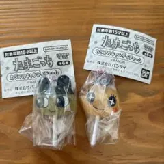 たまごっち　カラフルキャンディチャーム　ガチャガチャ　まめっち　めめっち