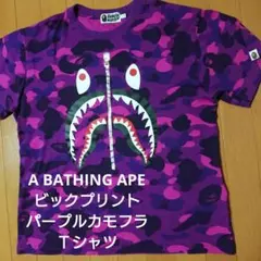 Item thumbnail for item 47e860d2-59d5-45ae-87c7-28260a2b5760