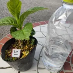 itk.様 リクエスト 5点 まとめ商品