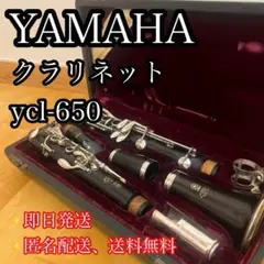 YAMAHA クラリネット SE Custom 管楽器 YCL-SE ケース付 - メルカリ