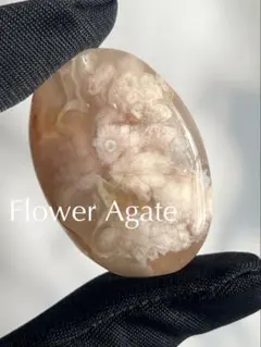 高品質 フラワーアゲート 桜瑪瑙 パーム