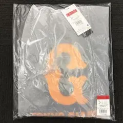 Item thumbnail for item 158ca5aa-6218-480d-87c9-a217a748e293