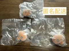 たまごっち　カプセルフロッキーズ　めめっち 3点セット
