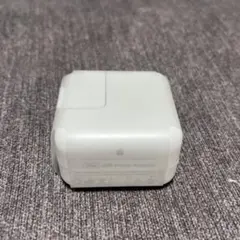 Apple 純正 iPad ACアダプタ 充電器10W USB パワーアダプター