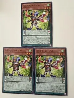 SRクラッカーネル　3枚セット