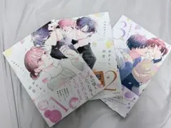 おかえり、初恋。1.2.3巻　3冊セット